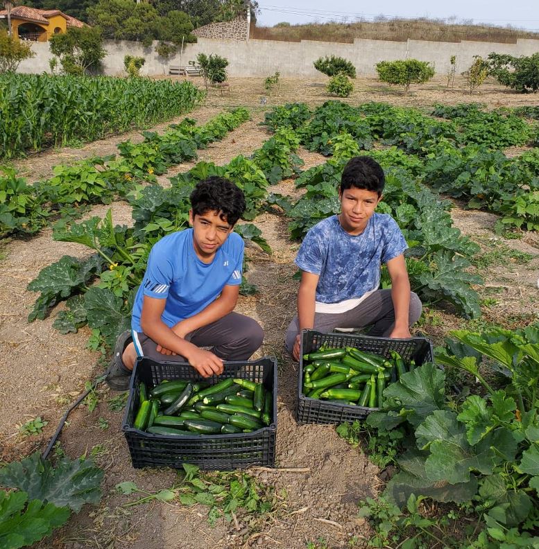 Project Mexico - Agriculture/Groundskeeping